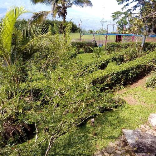 Gallery image of Pochotel in Turrialba