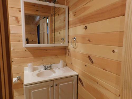 a bathroom with a sink and a mirror at Olympian Resort Motel in Diamond Point