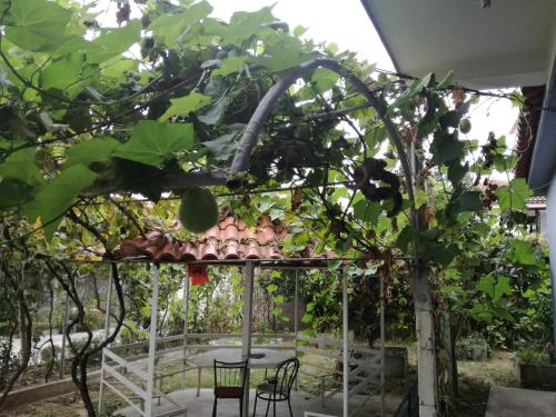 a gazebo with a table and chairs under a tree at Villa Osmani in Durrës