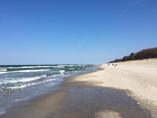 - une plage avec des personnes se promenant sur le sable et l'eau dans l'établissement Seepferdchen, à Zingst