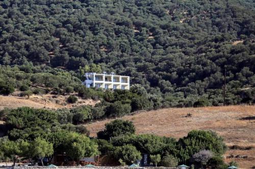 Φυσικό τοπίο κοντά σε αυτό το διαμέρισμα