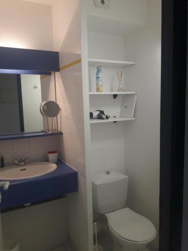 une petite salle de bain avec toilettes et lavabo dans l'établissement Ile au Pré vue lac et golf, à Talmont-Saint-Hilaire