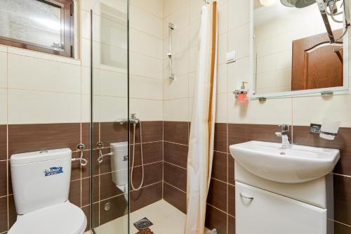 a bathroom with a toilet and a sink and a shower at Apartments Barbara in Kotor