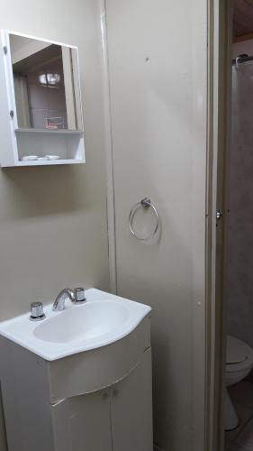 a bathroom with a sink and a mirror and a toilet at La Posada de Pinky Hotel in Puerto Santa Cruz