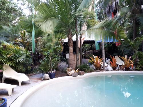 a swimming pool in a yard with palm trees at Alaya Ascend in Eudlo