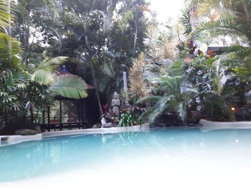 a swimming pool with palm trees in the background at Alaya Ascend in Eudlo