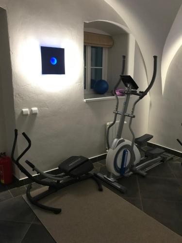 a gym with a treadmill and a exercise bike at Skalní Mlýn Adršpach in Adršpach