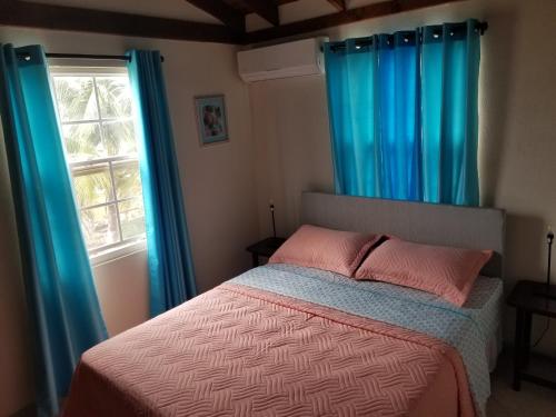 a bedroom with blue curtains and a bed and a window at Breezy Apts in Saint Philip