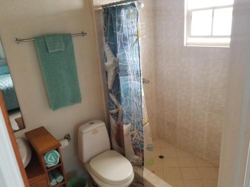 a bathroom with a toilet and a shower at Breezy Apts in Saint Philip
