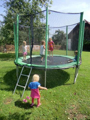 a group of children playing on a trampoline at Appartement Landhaus Felsenkeller in Sankt Kanzian