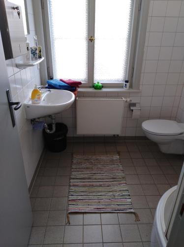 a bathroom with a sink and a toilet at Marstall im Schlosspark Rheinsberg in Rheinsberg