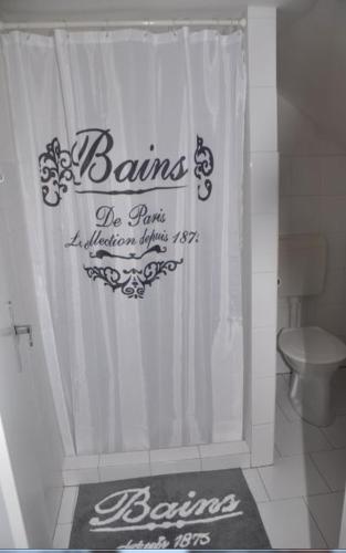 a bathroom with a shower with a shower curtain at Sklípek u kapličky in Velké Bílovice