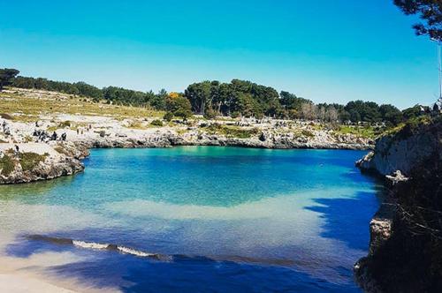 Φυσικό τοπίο κοντά σε αυτό το διαμέρισμα