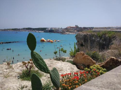 Φυσικό τοπίο κοντά σε αυτό το διαμέρισμα