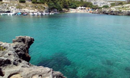 Φυσικό τοπίο κοντά σε αυτό το διαμέρισμα