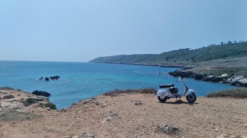 Φυσικό τοπίο κοντά σε αυτό το διαμέρισμα