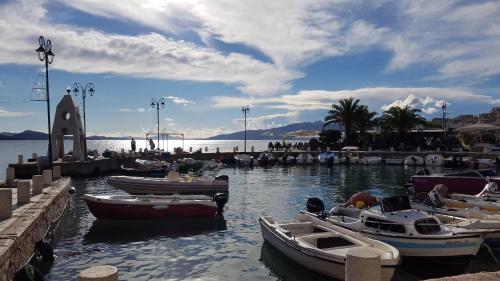a group of boats are docked in a harbor at Hostel Hasta La Vista in Sarandë