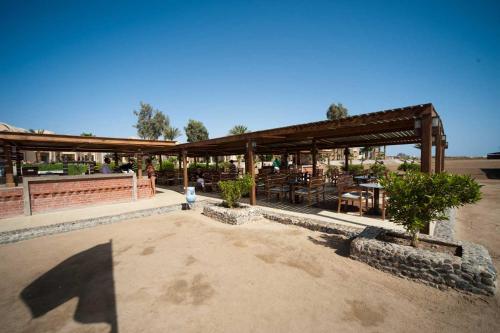 Fotografie z fotogalerie ubytování Shams Alam Beach Resort v destinaci Abū Ghuşūn