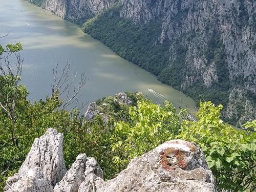a view of a river from a mountain at Nena & Rale Rooms in Donji Milanovac