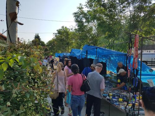 a group of people walking around a farmers market at Nena & Rale Rooms in Donji Milanovac