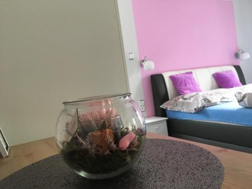a bowl filled with plants on a table in a room at Penzion Sv. Duch in Český Krumlov