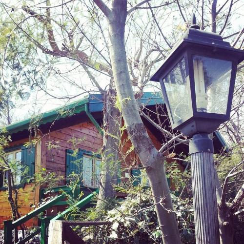 a street light in front of a log cabin at CHALET ETNA MILO in Milo