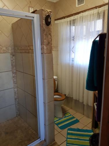 a small bathroom with a toilet and a shower at Cassiandra Place unit 2 in Richards Bay