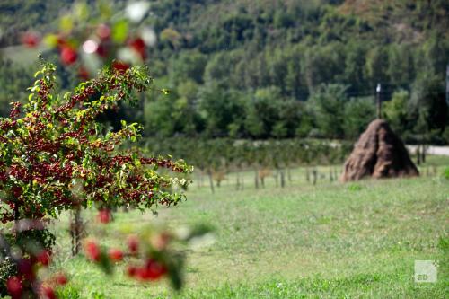 a field with a tree and a haystack at Locanda Dei Cinque Cerri in Sasso Marconi