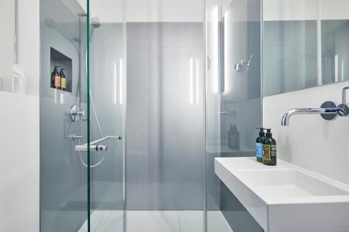 La salle de bains est pourvue d'une douche en verre et d'un lavabo. dans l'établissement Krafft Basel, à Bâle