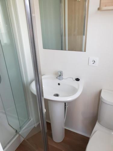 a bathroom with a sink and a shower at Altamira Camping in Queveda