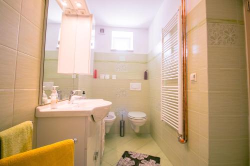 a bathroom with a sink and a toilet at Apartments Apartim Piran in Piran