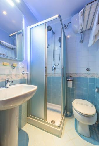 a bathroom with a shower and a toilet and a sink at Hotel Royal in Bolsena