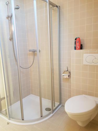 een badkamer met een douche en een toilet bij B & B DE SERAFIJN in Lochristi