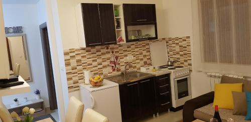 Cuina o zona de cuina de Apartman Goca