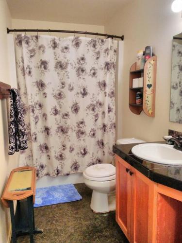 a bathroom with a toilet and a shower curtain at Vancouver WA Beautiful Apartment in Woodland
