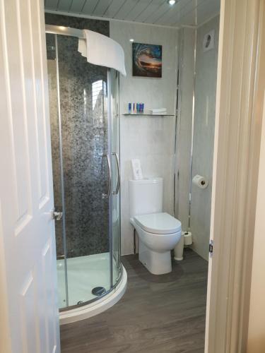 a bathroom with a toilet and a glass shower at Compston House B & B in Ambleside