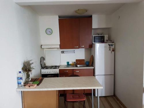 Kuchyňa alebo kuchynka v ubytovaní Drvenik, Apartman 1m from sea
