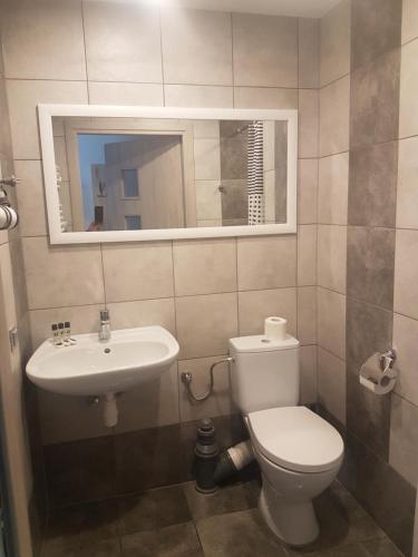 a bathroom with a toilet and a sink and a mirror at Noclegi u Andrzeja in Gdańsk