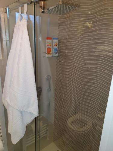 a shower with a glass door with a towel hanging from it at Apartment New Belgrade Home in Belgrade