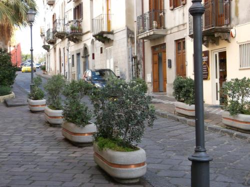 a row of potted plants on a city street at centrostoricolipari in Lipari