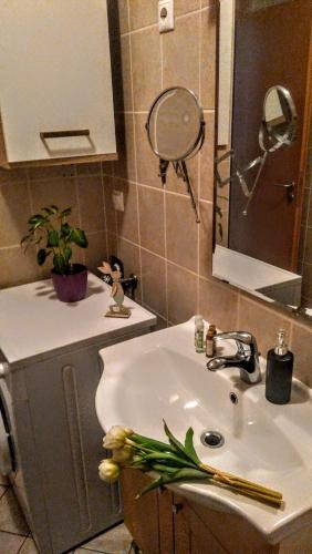 a bathroom with a sink and a mirror at Cleopatra Apartment Budapest in Budapest