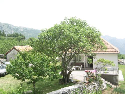 Gallery image of Konoba in Cetinje