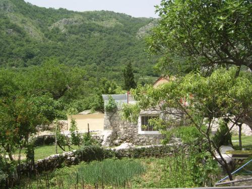 Gallery image of Konoba in Cetinje
