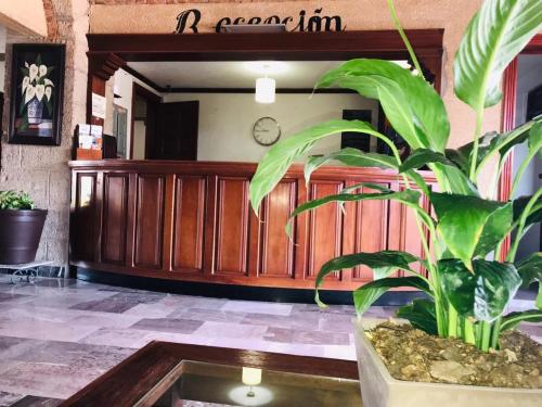 a potted plant in the middle of a lobby at Hotel La Mansión in San José Iturbide
