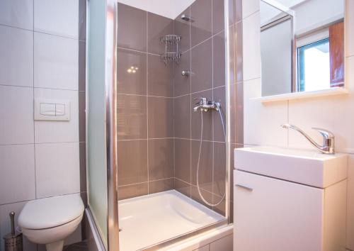 a bathroom with a shower and a toilet and a sink at Villa Lapis Vis in Rukavac