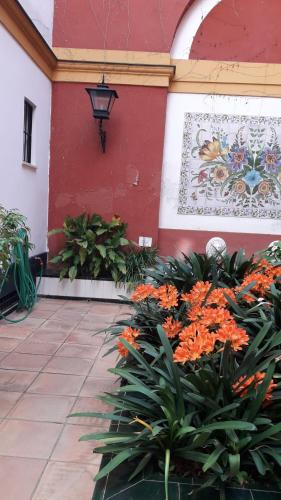 Apartamento Pilatos Central Superior photo 44