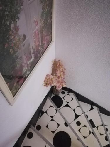 a plant sitting on a floor next to a wall at Hotel Cristo Rei in Porto