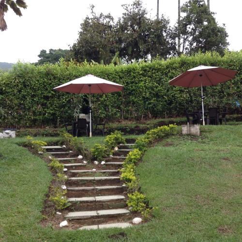 two umbrellas and a set of stone steps with sidx sidx sidx at Finca El Sueño De Mi Abuelo in Pereira