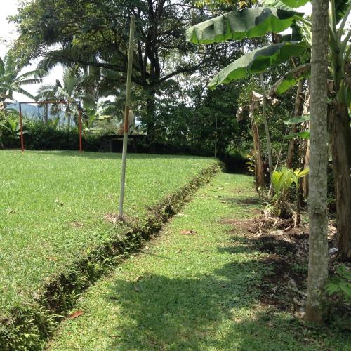 a garden with a pole in the grass at Finca El Sueño De Mi Abuelo in Pereira