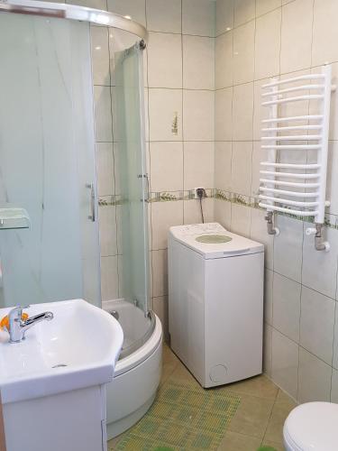 a bathroom with a sink and a toilet and a shower at Apartament u Gombosów in Jurgów